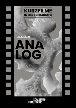 Poster für den Film ANALOG