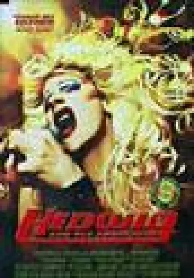 Poster für den Film Hedwig and the Angry Inch (OV)